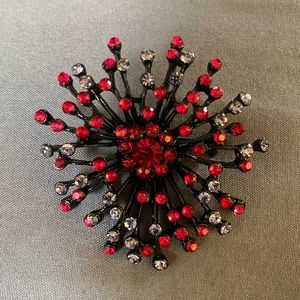 Black pin brooch covered in ruby and purple jewels.